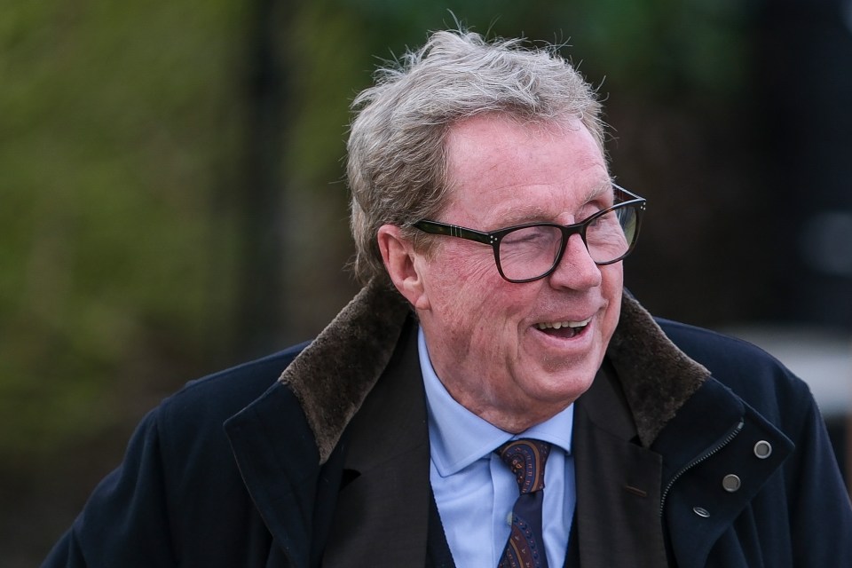 Harry Redknapp is also looking to get win at the Cheltenham action