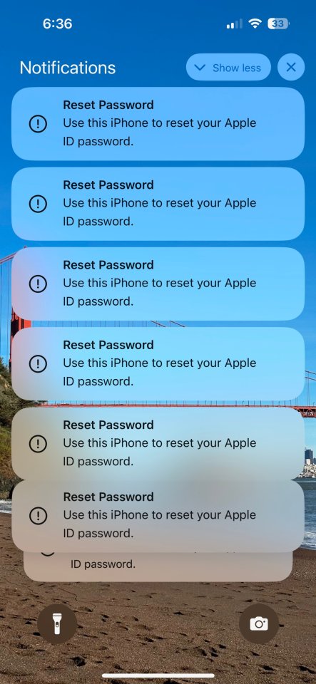 Each Reset Password request will lock an Apple device until the owner clicks 'Allow' to change their password or 'Don't Allow'