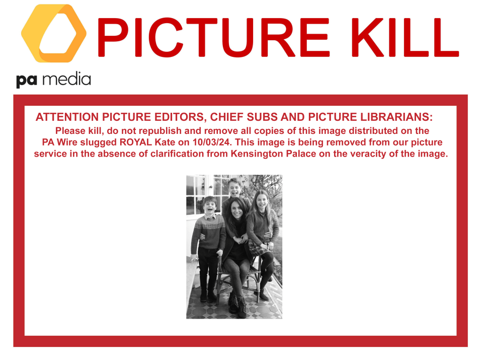 PA Media sent out a 'Picture Kill' notice for media outlets to stop using the snap