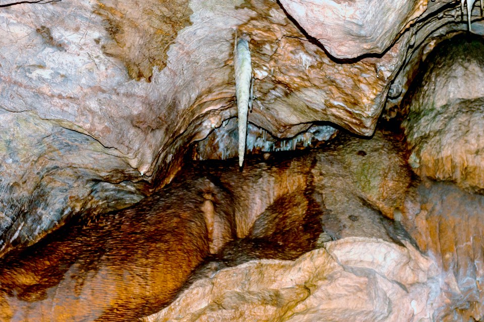 The combination of limestone and water helped form the cavern millions of years ago