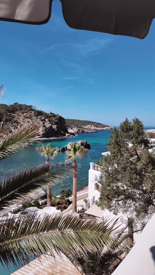 a view of the ocean from a balcony with palm trees in the foreground