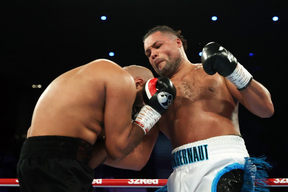 Joe Joyce secured a last ditch knockout victory over Kash Ali in Birmingham