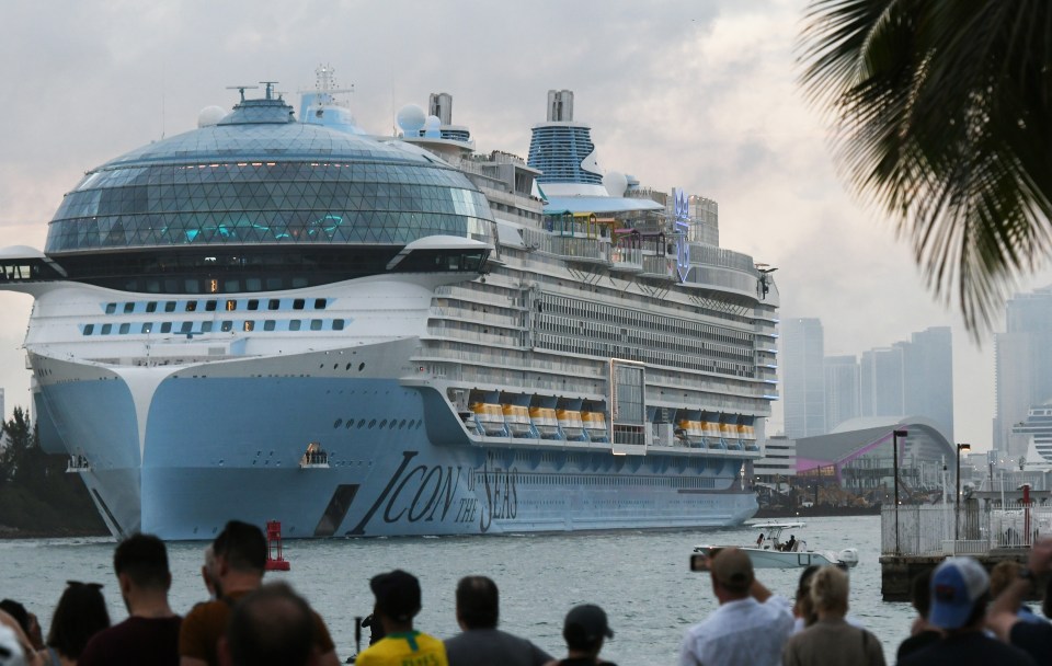 The world's largest cruise ship had been travelling from Miami to Honduras when the incident occurred