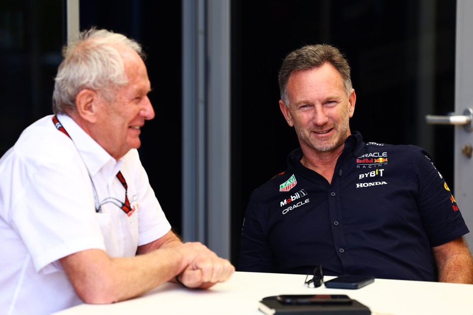 Red Bull's consultant Helmut Marko pictured with Christian Horner