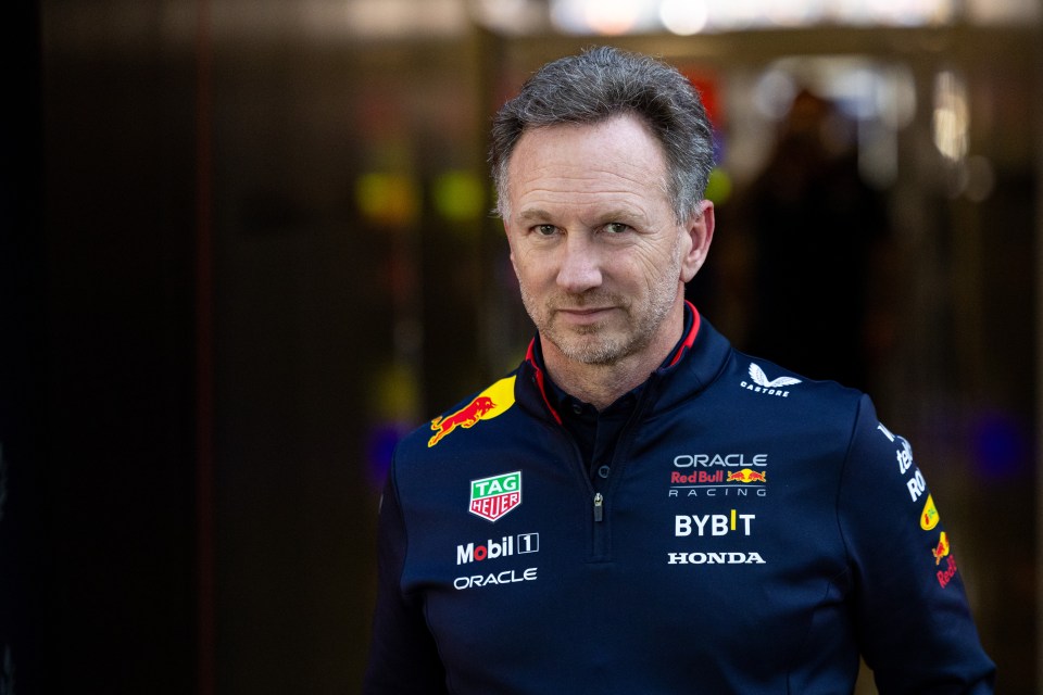 Christian Horner will see his scandal feature in Drive to Survive