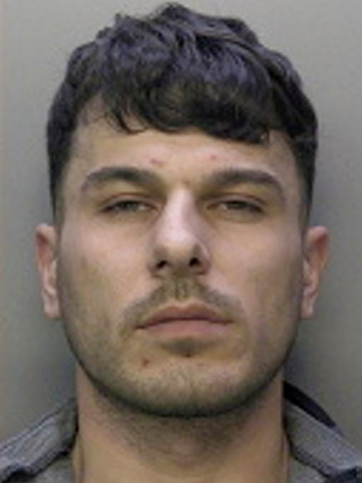 Perry Lovejoy, of Horley in Surrey, was sentenced to three years in prison and handed a nine-month consecutive sentence