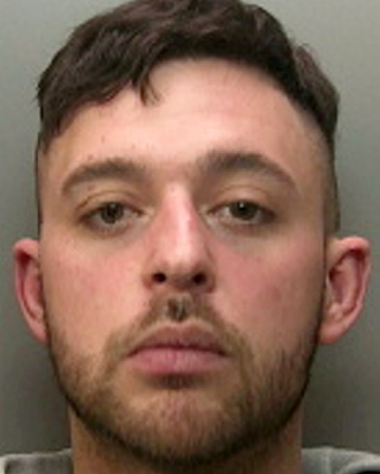 Luke Jackson, from Croydon in southeast London, was put behind bars for three-and-a-half years