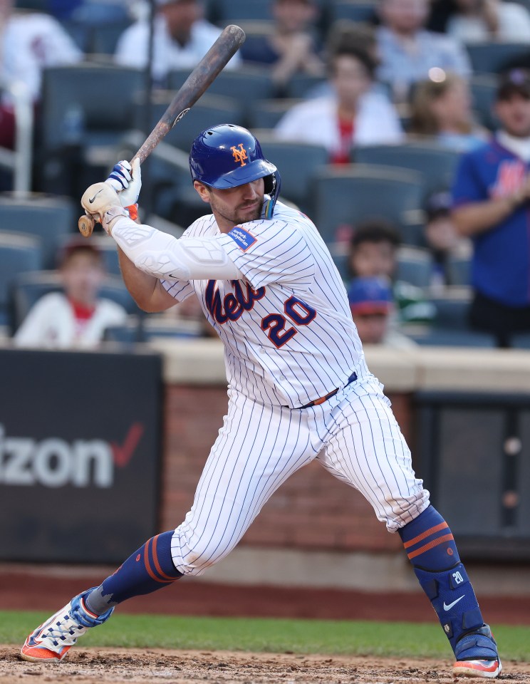 Pete Alonso is one of the leading home run hitters in Major League Baseball