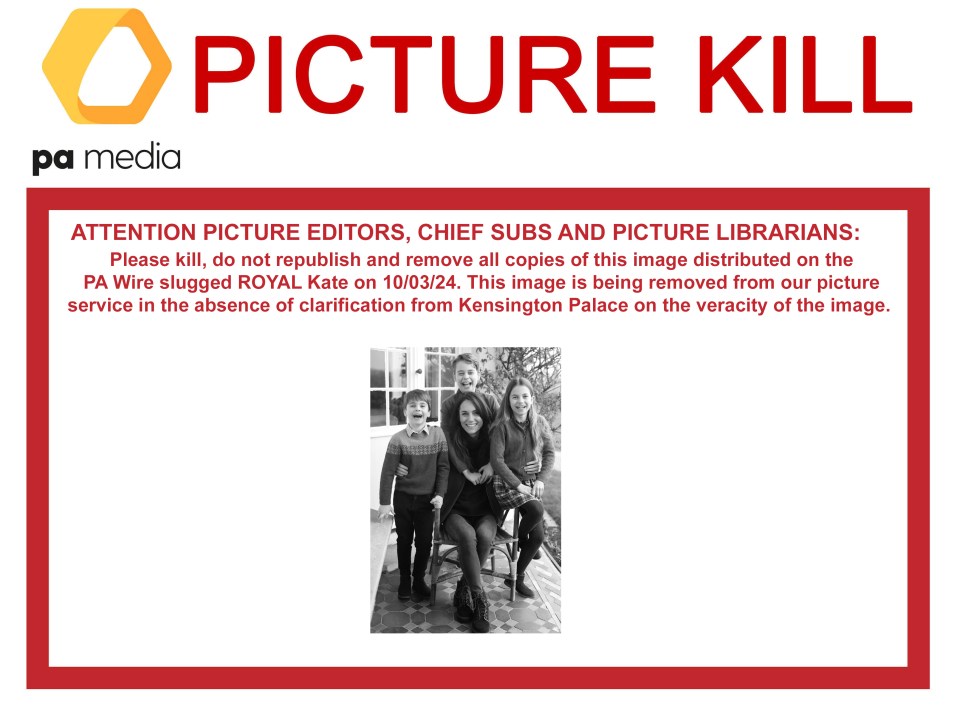 PA Media sent out a 'Picture Kill' notice for media outlets to stop using the snap