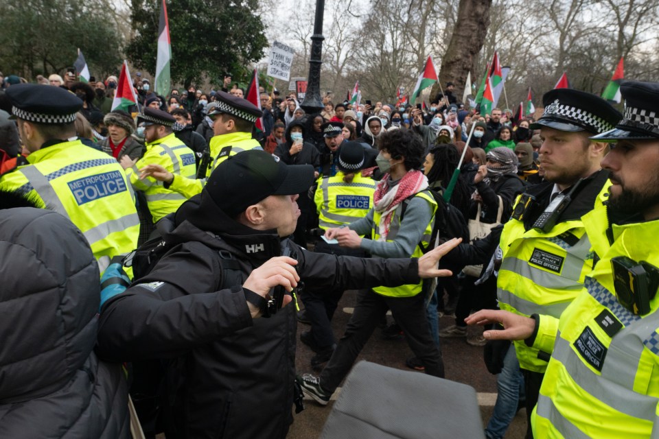 Police scuffle with protesters in London during a demonstration in support of Palestine in January