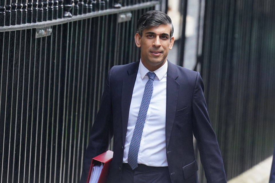 PM Rishi Sunak is under pressure to find cash to boost defence spending to 2.5% of national income