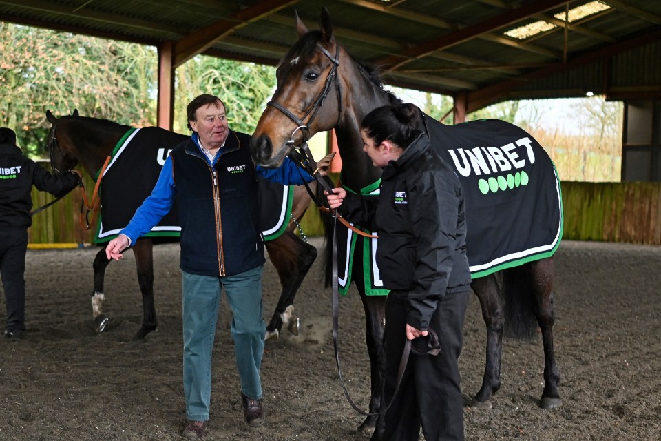 Nicky Henderson remains certain that Sir Gino will race