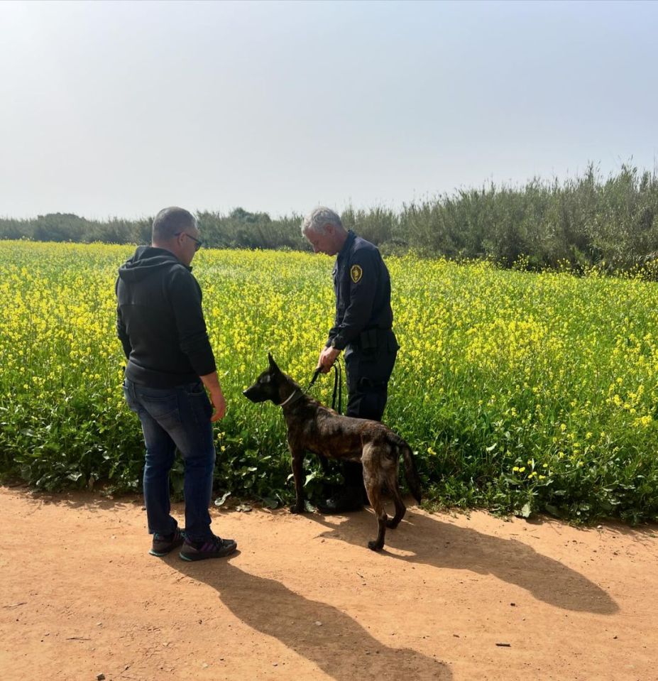 A police dog was mobilised to help search for the attacker