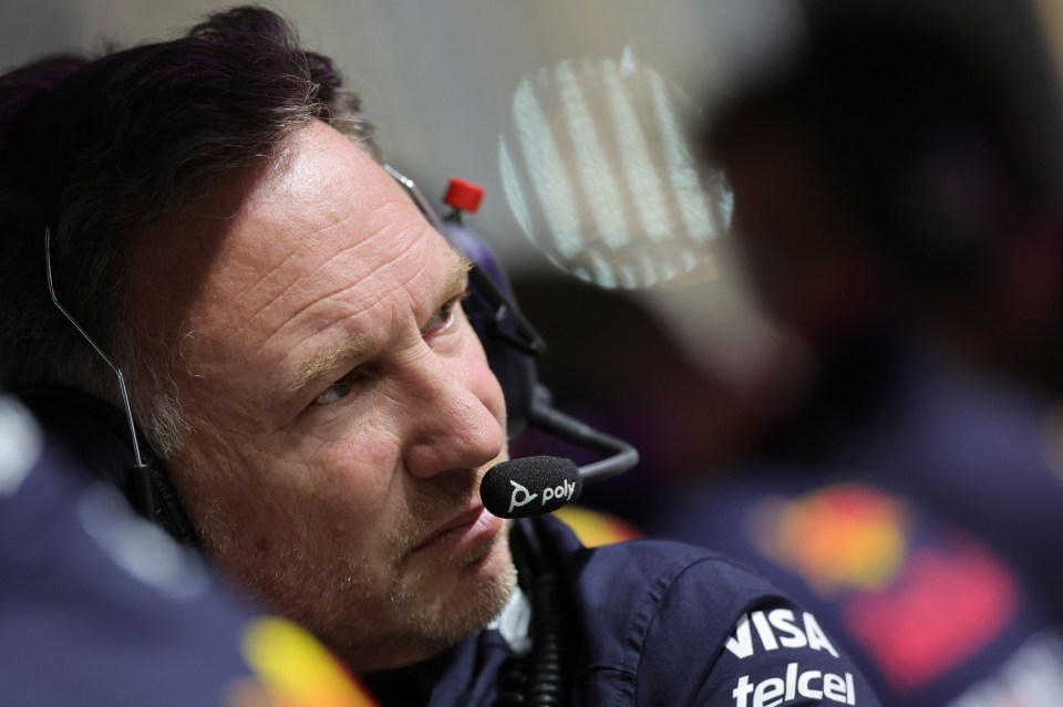 Brit racing star Johnny Herbert said Christian Horner should step aside in the wake of the sexting storm