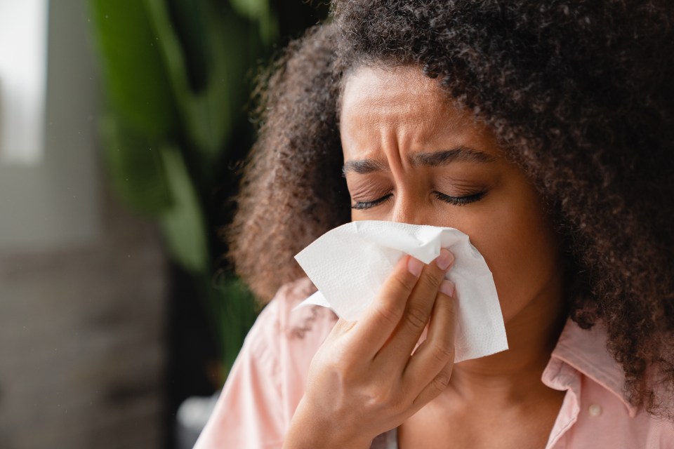 Is your runny nose caused by a cold, hay fever or Covid? Here's how to find out