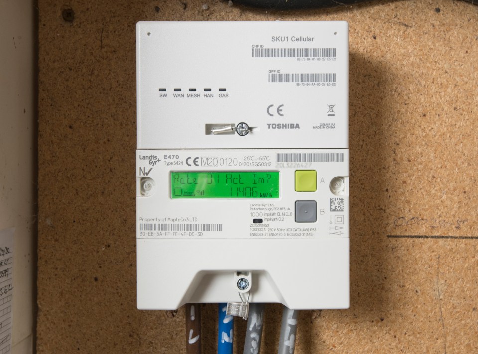 Smart meters are designed so that you no longer need to send energy suppliers traditional meter readings