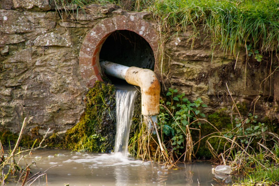 To sort out our appalling water companies we need nationalisation