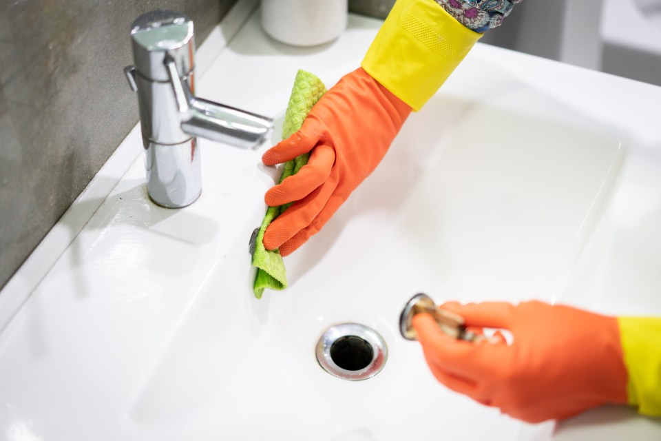 A new tenant recently moved into their home but found the bathroom needed a serious clean