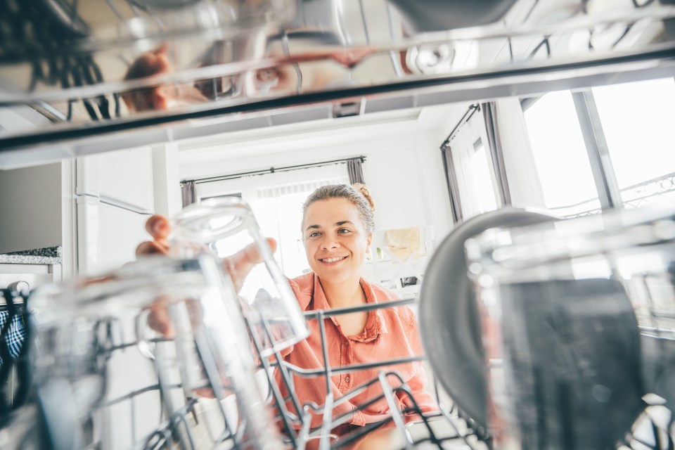 Certain household items will come up sparkling clean in the dishwasher