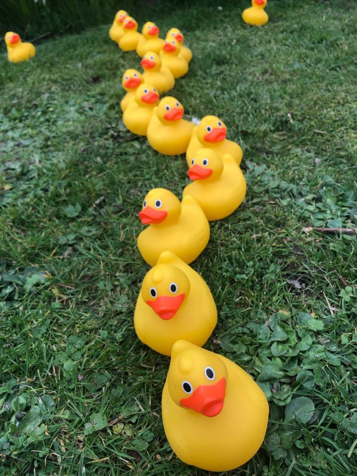 Head along to the Easter Duck Race at The Woolpack Inn in Kent this Good Friday