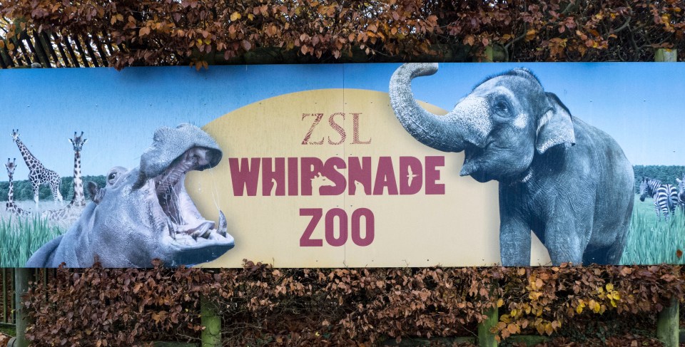 a sign for zsl whipsnake zoo shows a hippo and an elephant