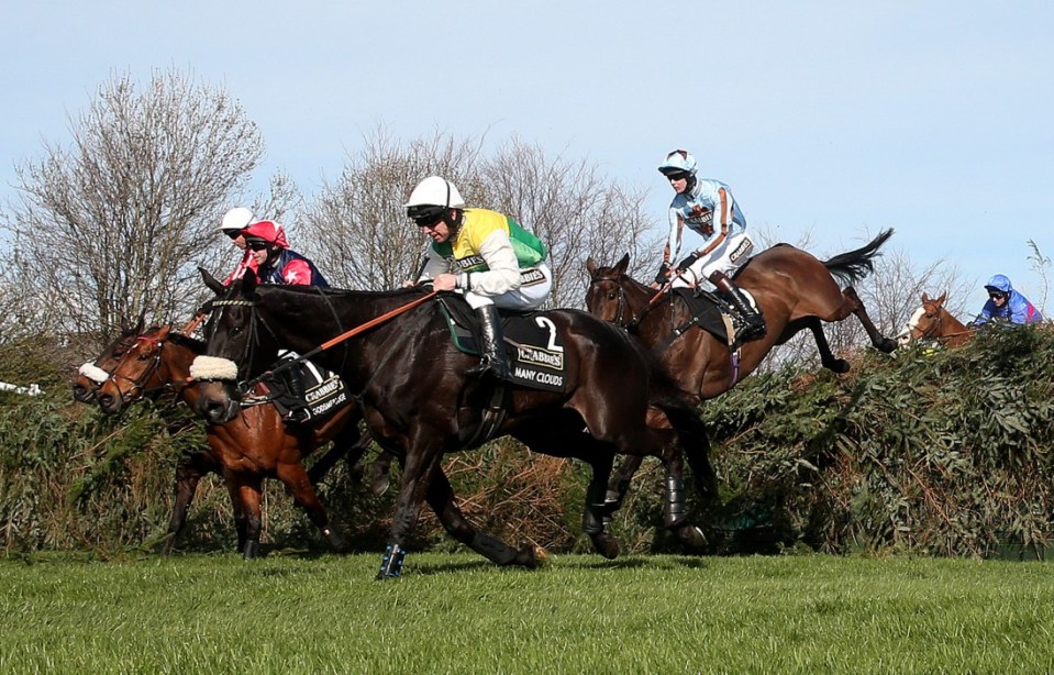 The Novices' Hurdle has finished at Aintree on Grand National day