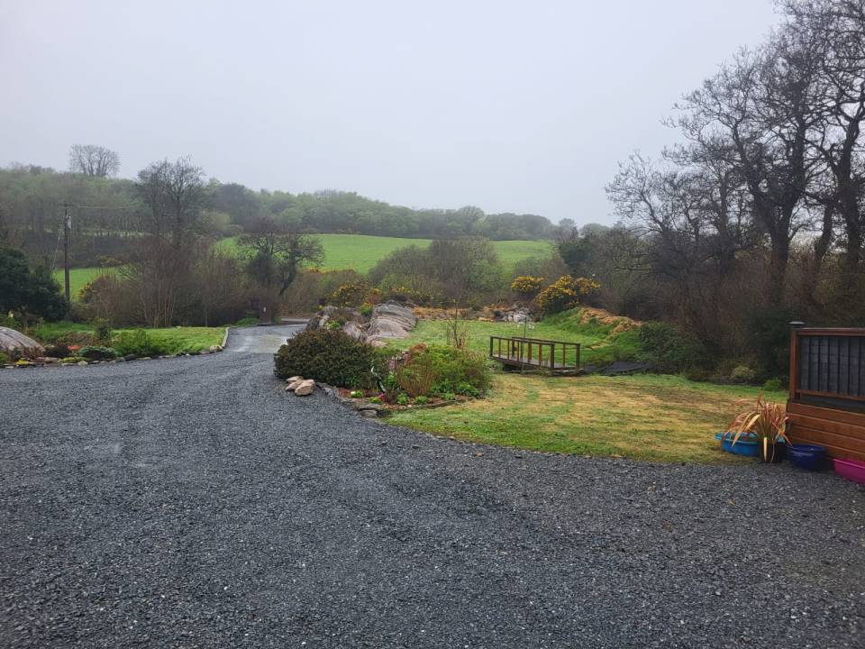 Sara planted more than 80 trees and built a small pond