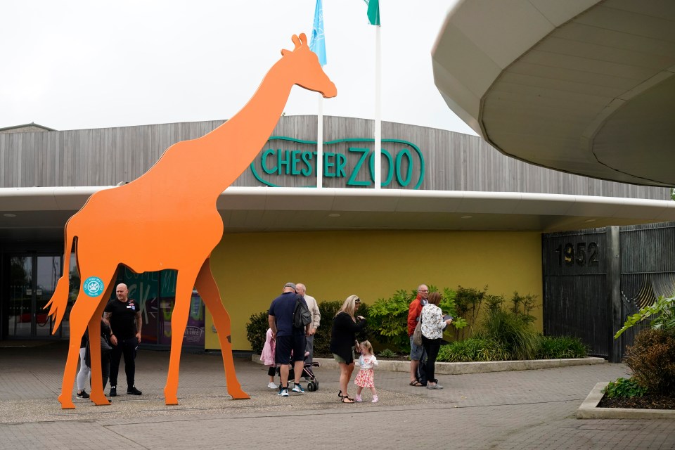 a group of people standing in front of the chester zoo