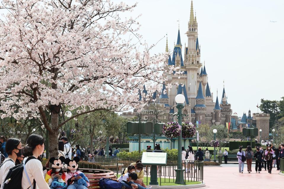 There is a Disney theme park that isn't actually owned by Disney