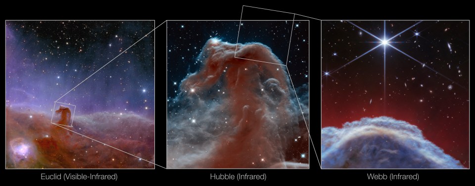 This image shows three views of the Horsehead Nebula from the ESA's Euclid telescope in 2023, from Nasa's Hubble Space Telescope in 2013. and the JWST in 2024