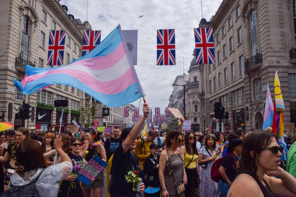 The majority of British people are appalled by the impact of trans activists in wider society