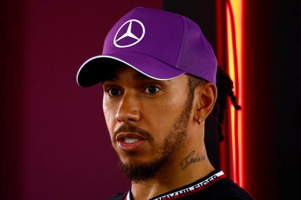 Hamilton said the car was 'enjoyable driving'