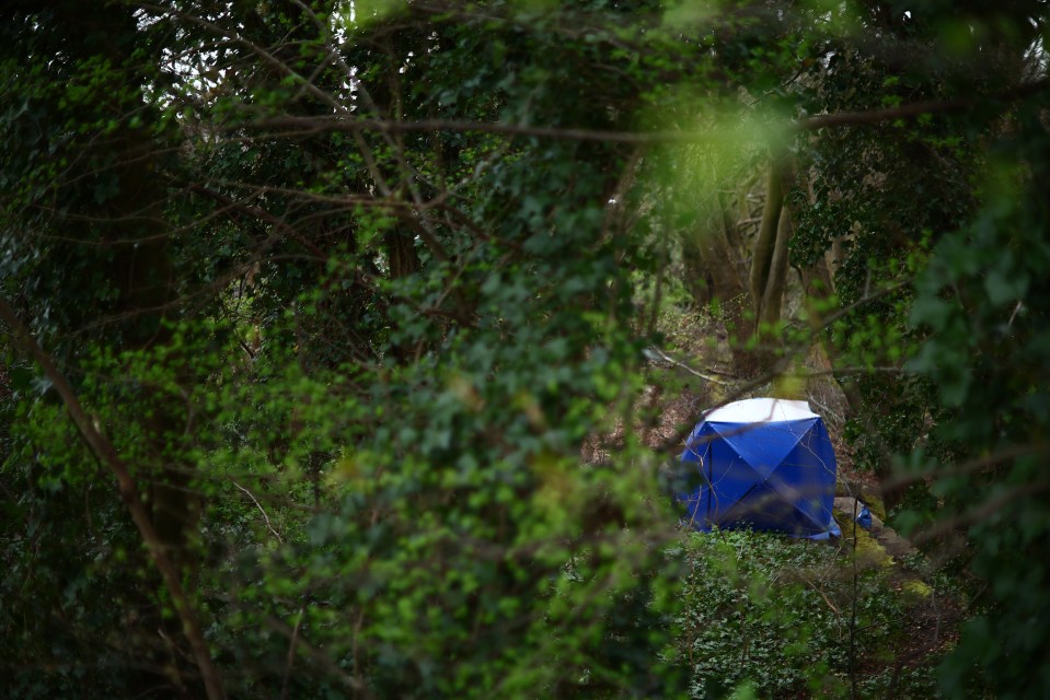 A headless human torso was found in the Kersal Wetlands in Salford