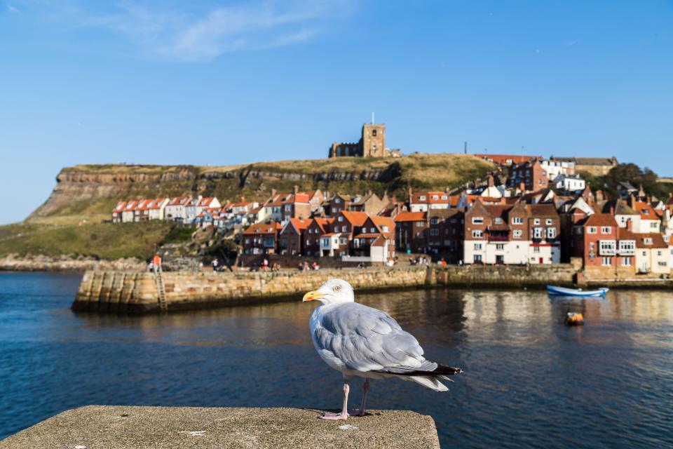 The Yorkshire seaside town of Whitby has been plagued by influencers, locals say