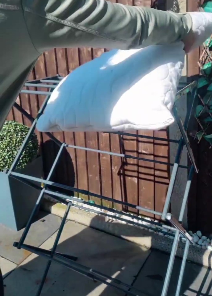 She just placed the pillows on top of an airer in the garden