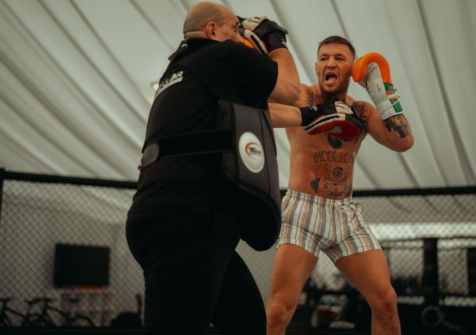 Conor McGregor shared several pictures of him hitting pads