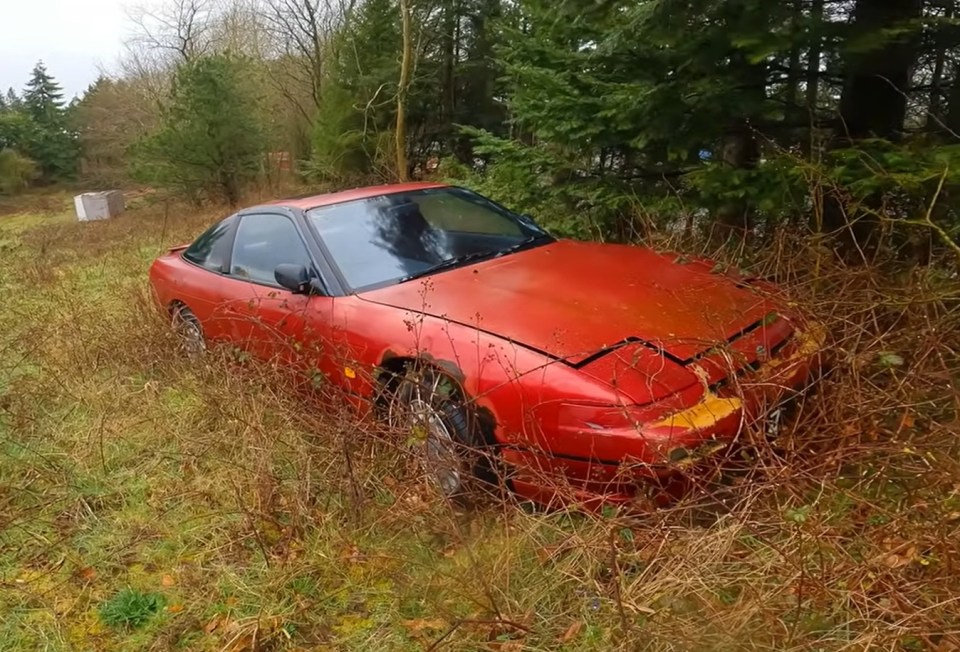 The rare Nissan was spotted in the forest appearing to be intact