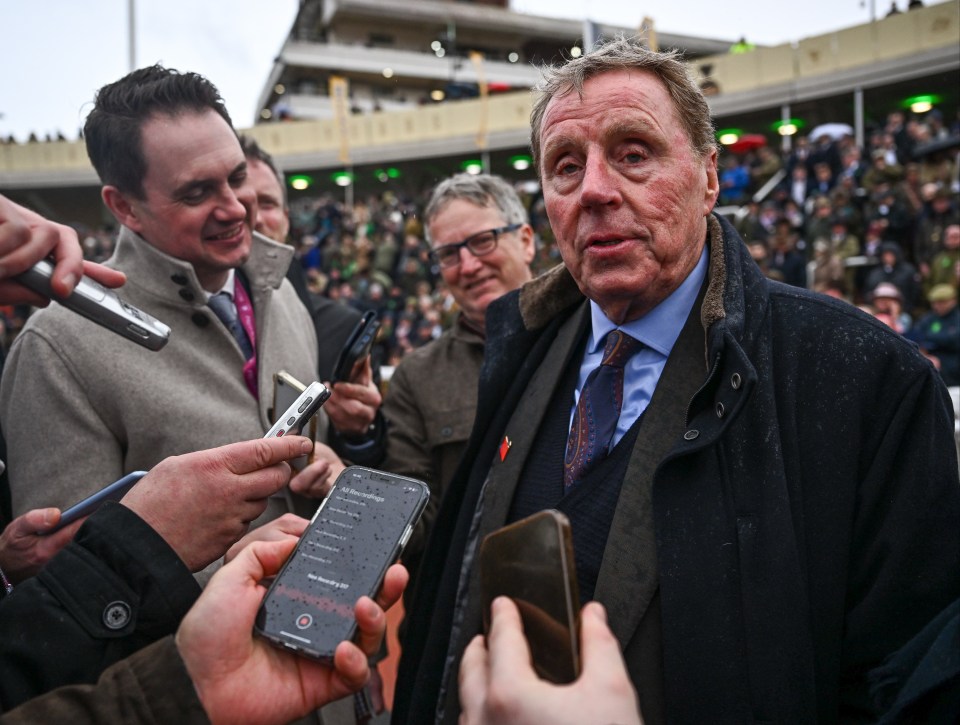 Could Redknapp achieve a lifelong dream and have a runner in the Grand National?