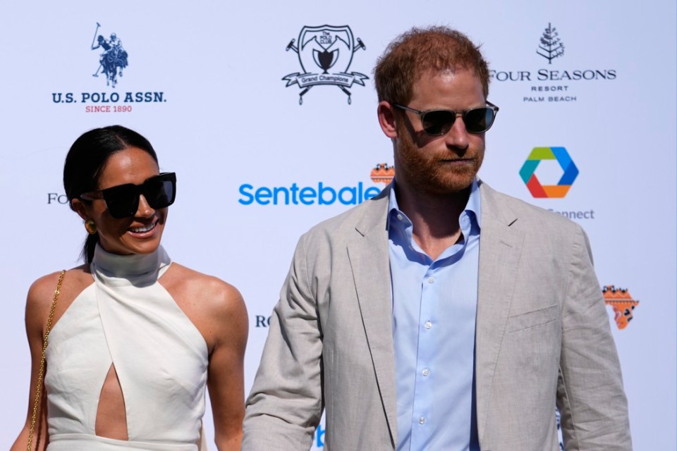 Prince Harry and Meghan Markle moved to the US after stepping down as senior royals