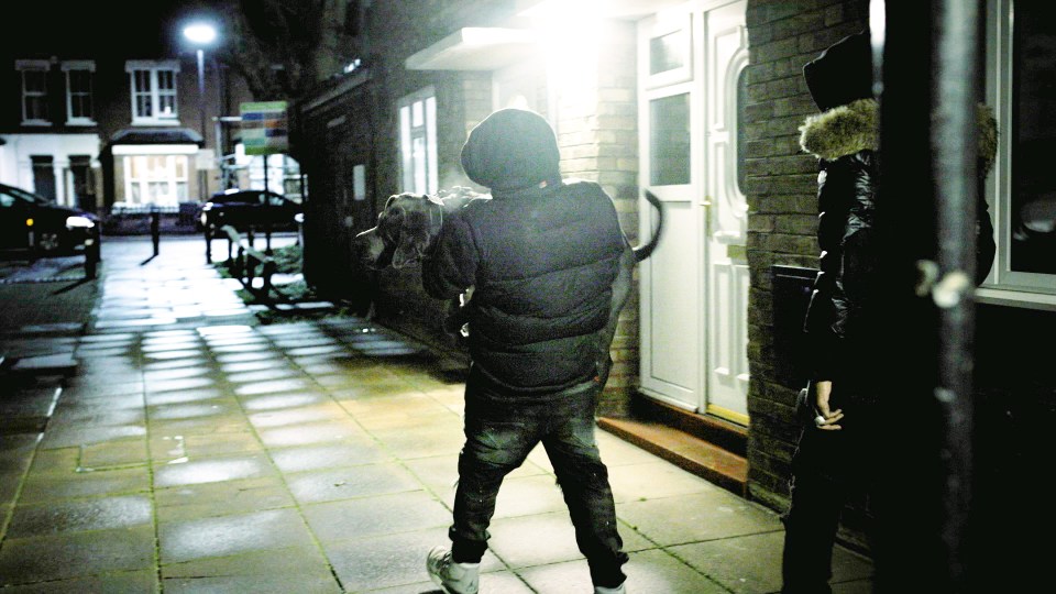 A gangster carries away his injured dog