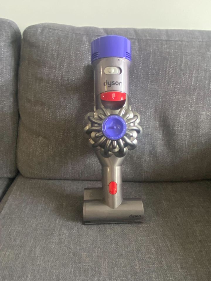 Dyson V8 Animal