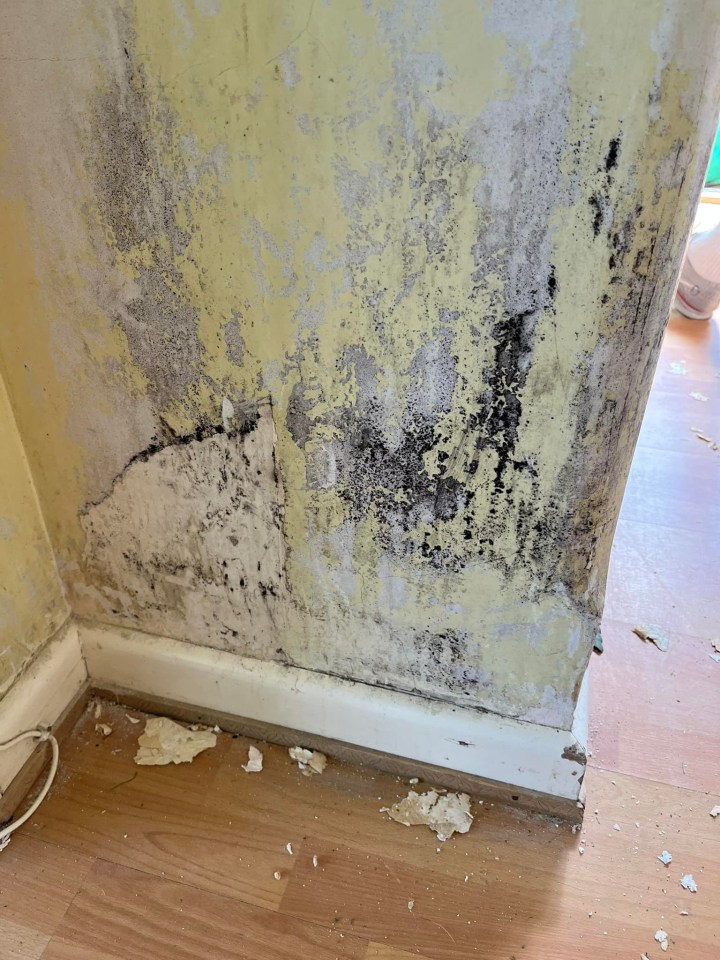 Several of the walls in her home were riddled with mould