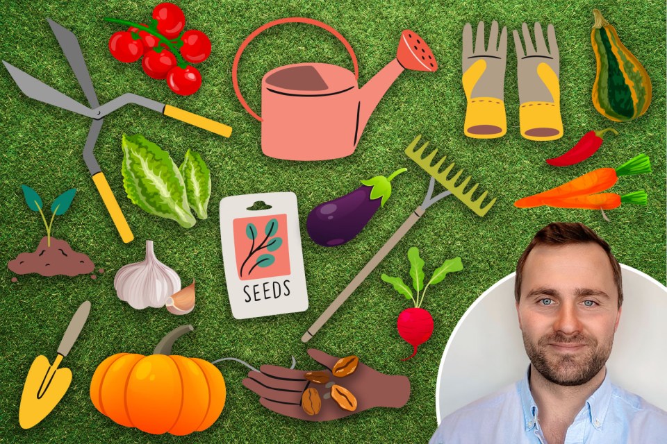 Kitchen staples like garlic and chilli peppers can help you banish pests in your garden, according to expert Michael Foote