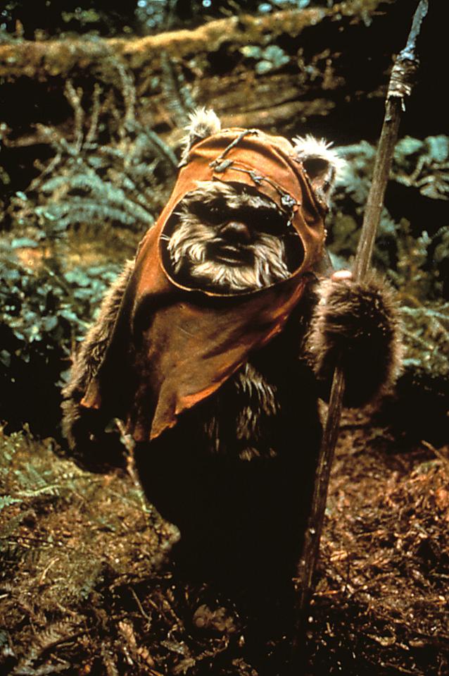  Warwick's first movie role was in Star Wars: Episode VI - Return of the Jedi playing Ewok Wicket W