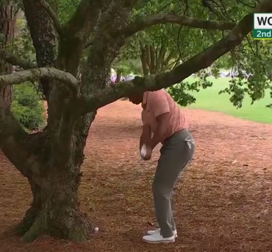 He then proceeded to try and chip the ball out of the trees