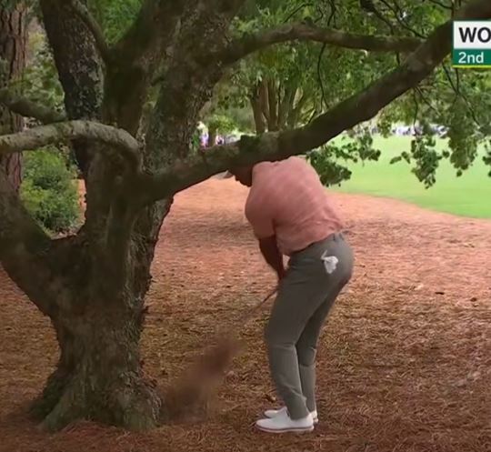 Woods managed to pull off the shot and landed back on the green before saving a par from the hole