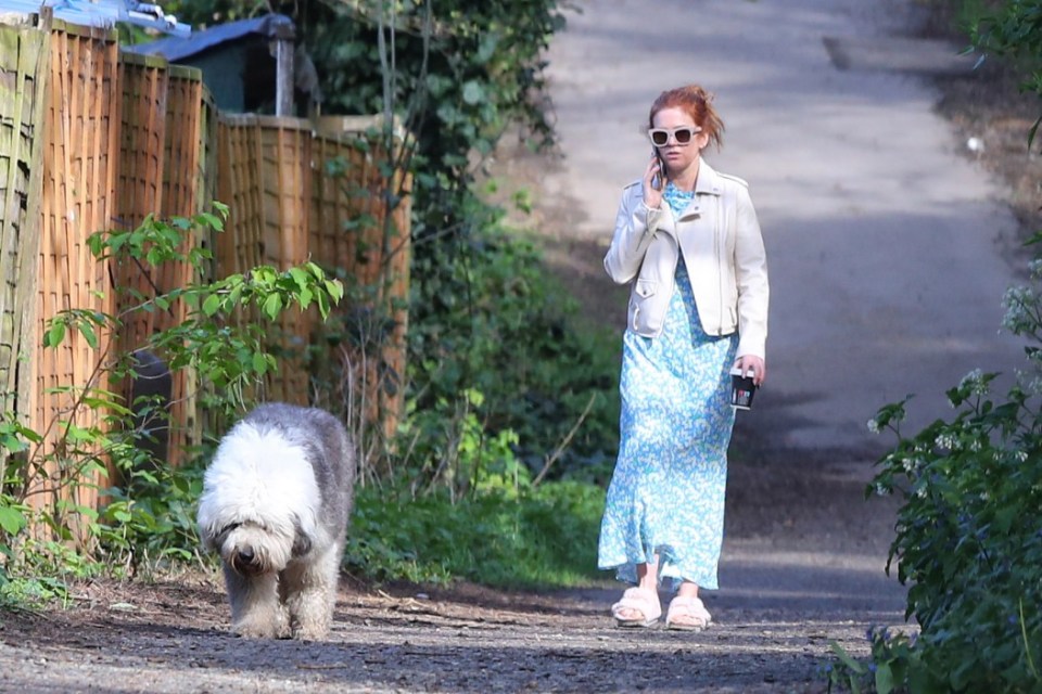 She was seen walking her dog in north London