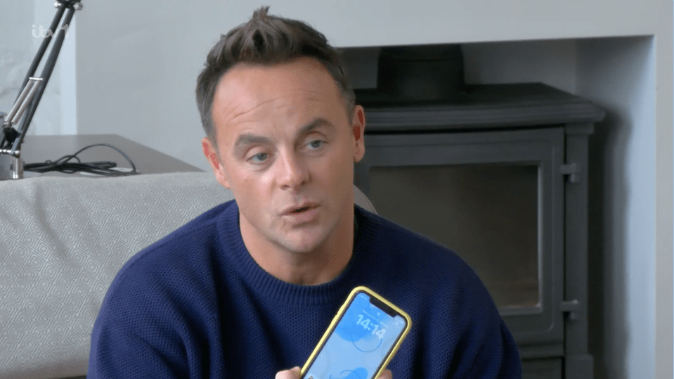 Ant McPartlin's revenge sketch failed to amuse viewers tonight