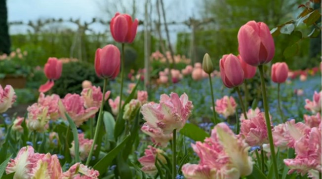 Presenter Adam Frost flew to Ireland to visit the rock star's garden, which is located just outside of Dublin