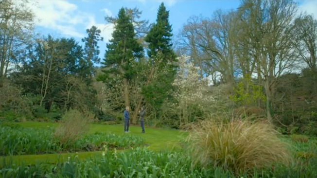 Over the past three decades Adam, 64, has planted a staggering 4,000 trees to transform the green space